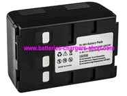 PANASONIC VW-VBS10E camcorder battery - Ni-MH 5300mAh